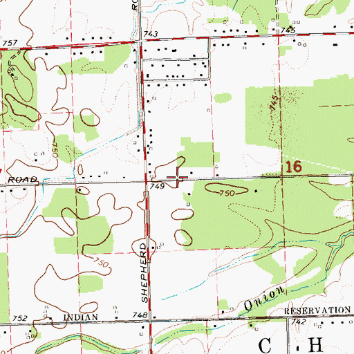 Topographic Map of Jehovah's Witnesses, MI