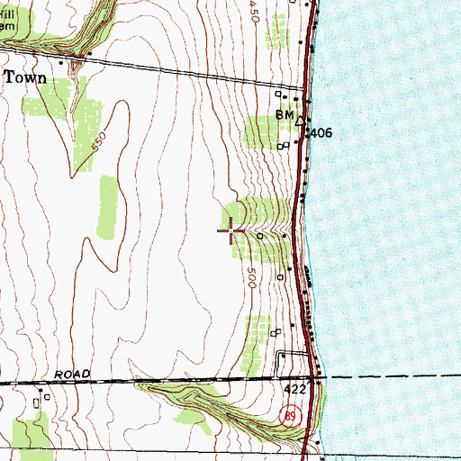 Topographic Map of Goose Watch Winery, NY