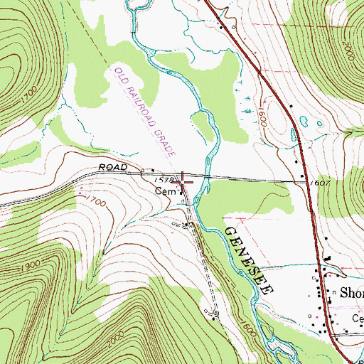 Topographic Map of Graves Cemetery, NY