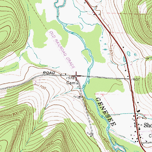 Topographic Map of Graves Crossing, NY