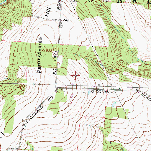 Topographic Map of Blueberry Hill Farm, NY