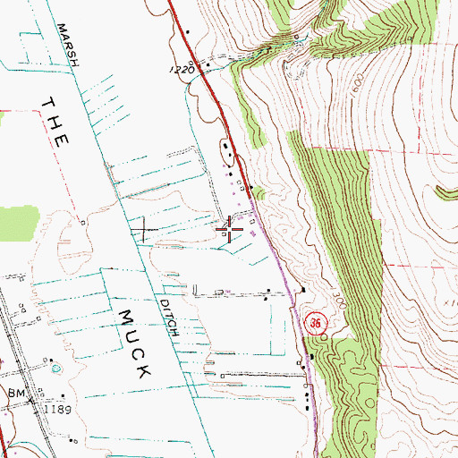 Topographic Map of Jenkins Farm, NY