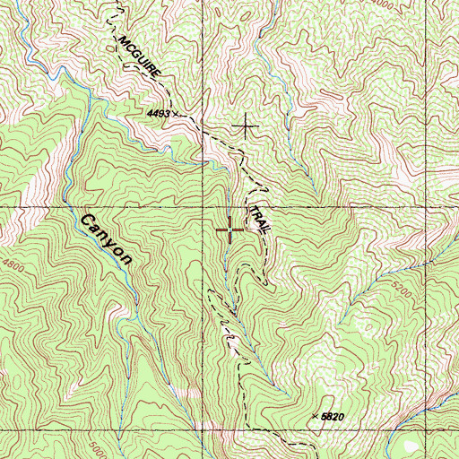 Topographic Map of McGuire Trail, CA