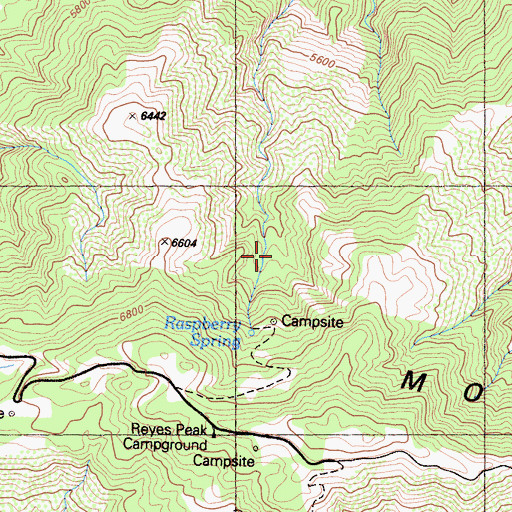 Topographic Map of Raspberry Spring, CA