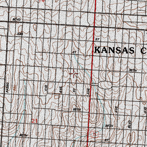 Topographic Map of Richardson Elementary School (historical), MO