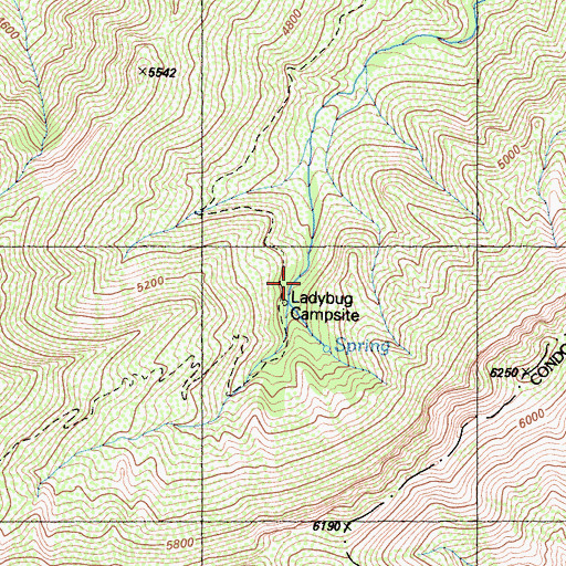 Topographic Map of Ladybug Campsite, CA