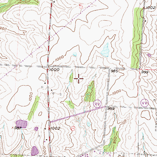 Topographic Map of Pleasant Hill Intermediate School, MO