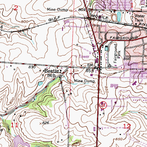Topographic Map of Rolling Meadow State School, MO