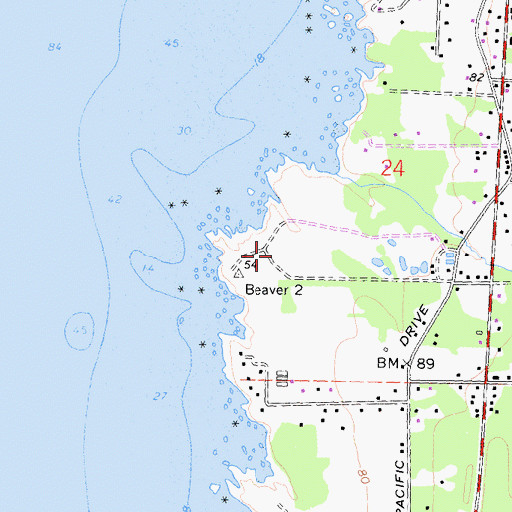 Topographic Map of Beaver Point, CA