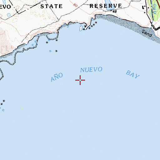 Topographic Map of Ao Nuevo Bay, CA