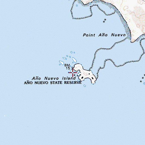 Topographic Map of Ao Nuevo Island, CA