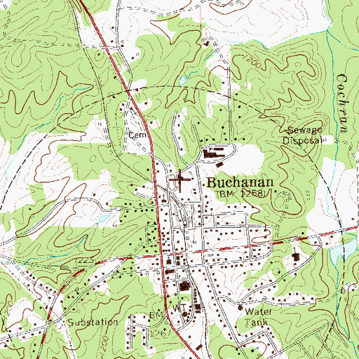 Topographic Map of Buchanan Primary School, GA