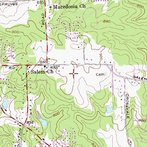 Topographic Map of Salem Middle School, GA