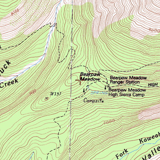 Topographic Map of Bearpaw Meadow, CA