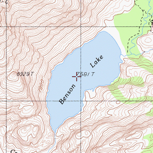Topographic Map of Benson Lake, CA
