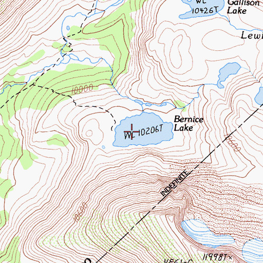 Topographic Map of Bernice Lake, CA