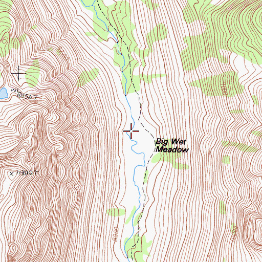 Topographic Map of Big Wet Meadow, CA