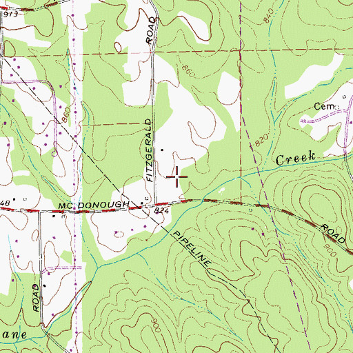 Topographic Map of Kemp Primary School, GA