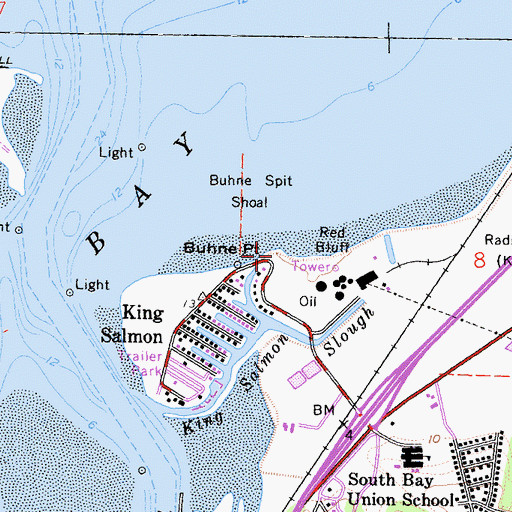 Topographic Map of Buhne Point, CA
