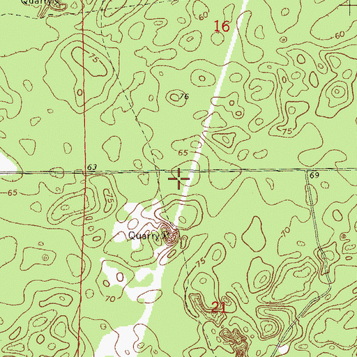 Topographic Map of Central Florida Electric Cooperative Neals Substation, FL