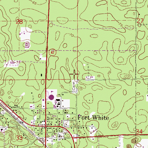 Topographic Map of Fort White Middle School, FL