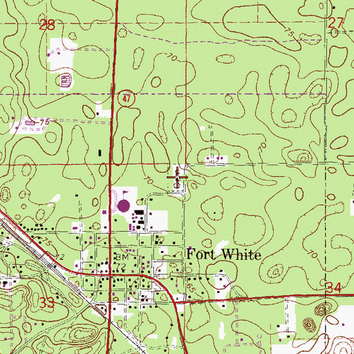 Topographic Map of Fort White Cemetery, FL
