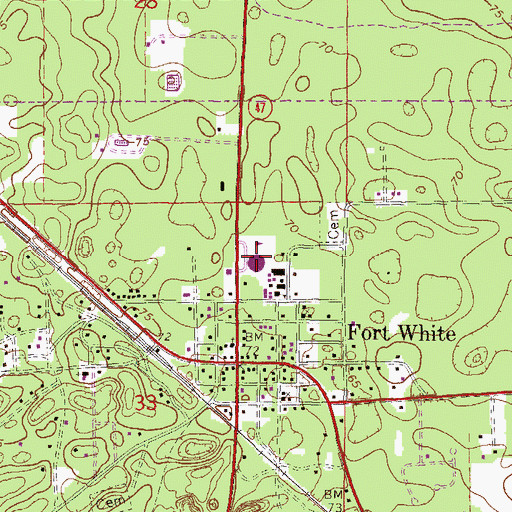 Topographic Map of Fort White Elementary School, FL