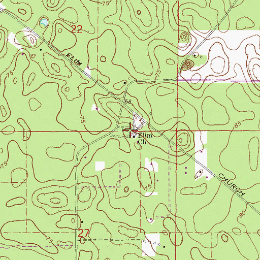 Topographic Map of Elim Cemetery, FL