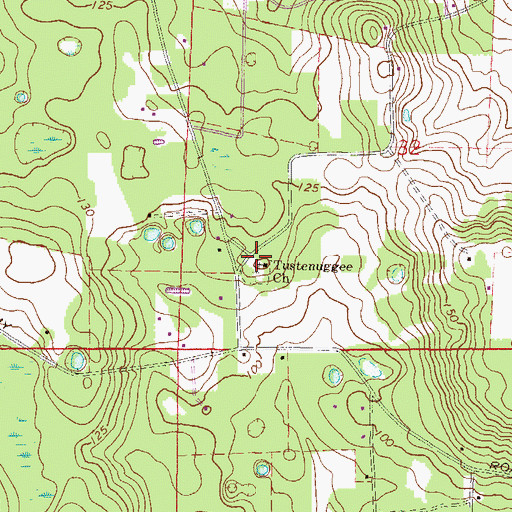 Topographic Map of Tustenuggee Cemetery, FL