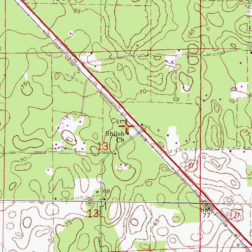 Topographic Map of Shiloh Cemetery, FL