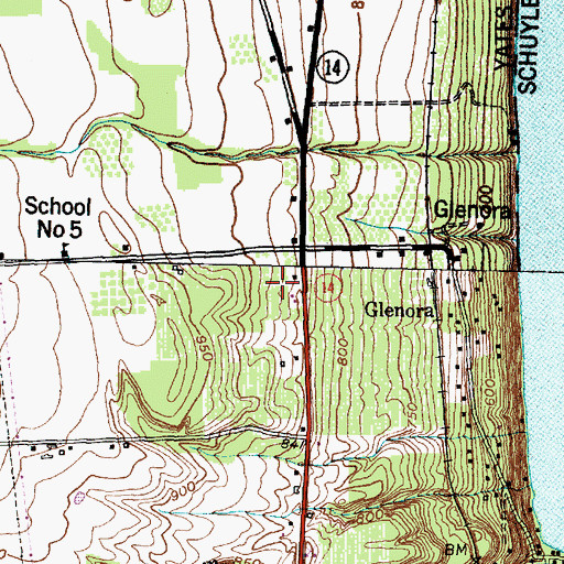 Topographic Map of Spring Ledge Farms, NY