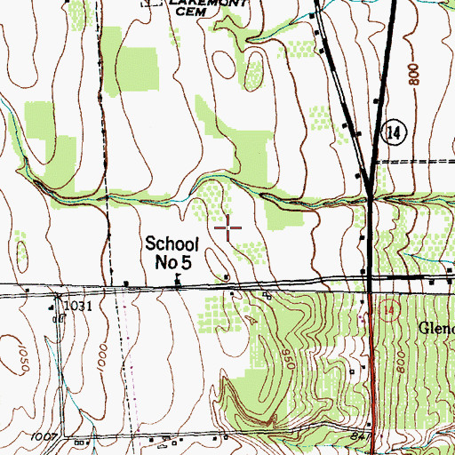 Topographic Map of Glenora Farms, NY
