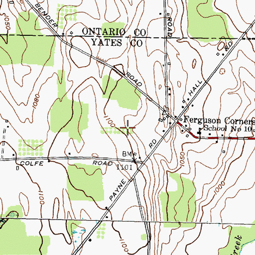 Topographic Map of Tomion Farms, NY