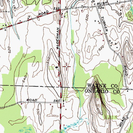 Topographic Map of Amans Nursery, NY