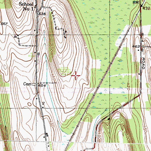 Topographic Map of Evergreen Christmas Tree Farm, NY