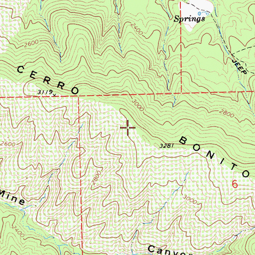 Topographic Map of Cerro Bonito, CA