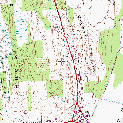 Topographic Map of Jackson Farms, NY