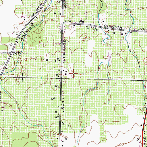 Topographic Map of Lagoner Farms, NY
