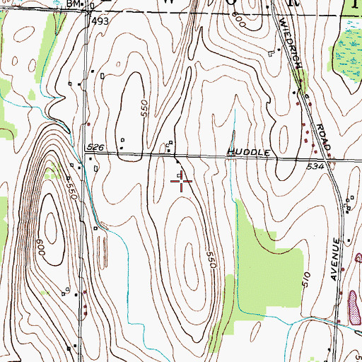 Topographic Map of Long Acre Farm, NY