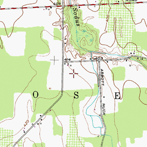 Topographic Map of Rosedale Farm, NY
