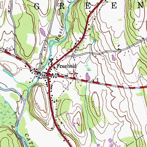 Topographic Map of Freehold Cemetery, NY
