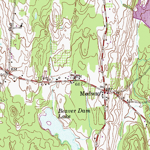 Topographic Map of Medway Congregational Christian Cemetery, NY