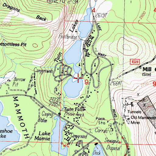 Topographic Map of Twin Lakes Picnic Site, CA