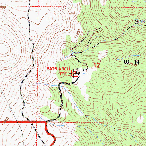 Topographic Map of Patriarch Grove Trailhead, CA