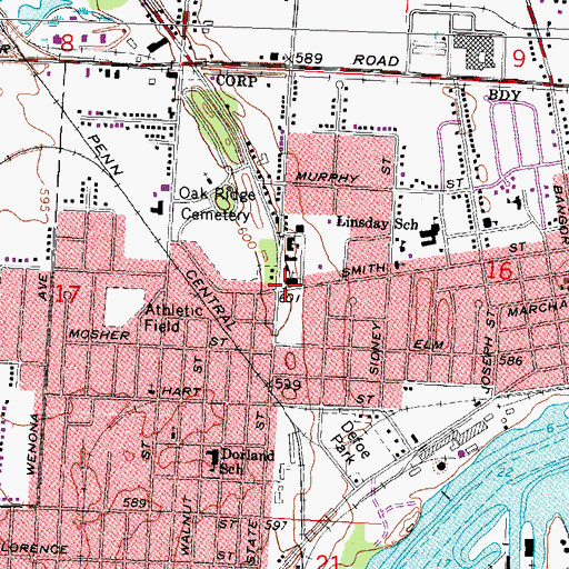 Topographic Map of Visitation Church, MI