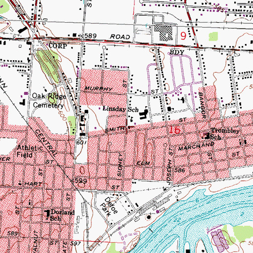 Topographic Map of Mount Olive Lutheran Church, MI