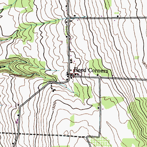 Topographic Map of Reeds Corners Cemetery, NY