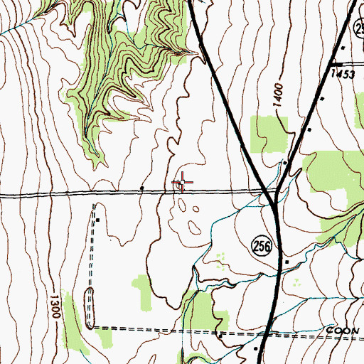 Topographic Map of Rau Cemetery, NY