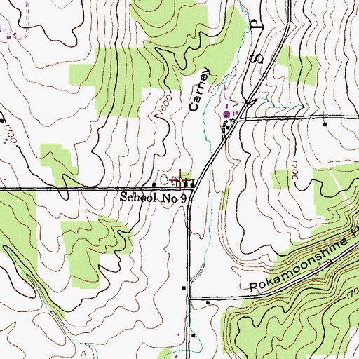 Topographic Map of Pleasant Valley West Cemetery, NY