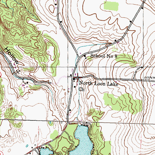 Topographic Map of North Loon Lake Cemetery, NY